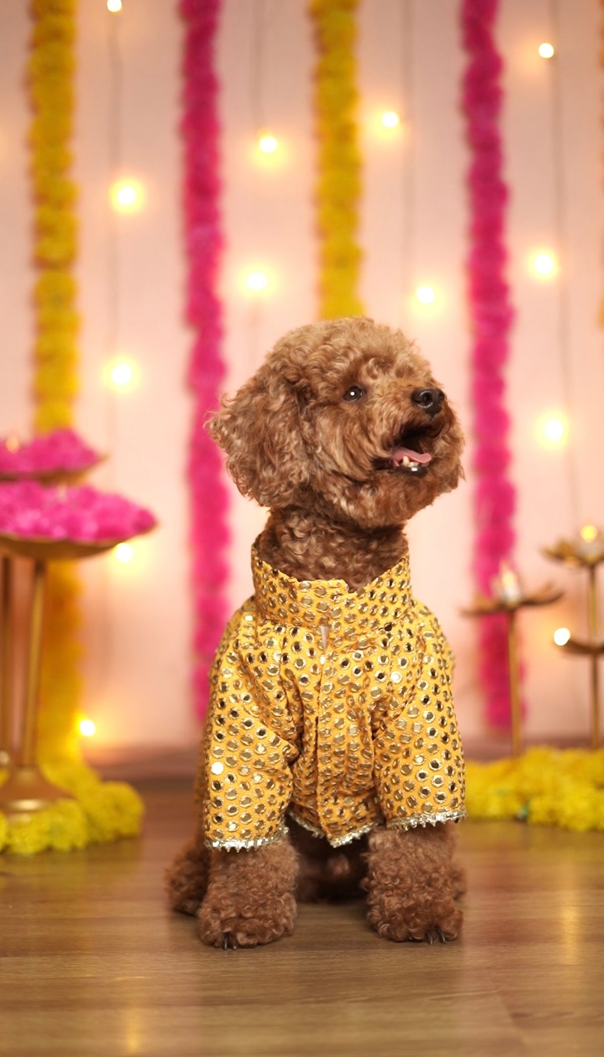 Yellow mirror work sherwani