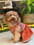 Coral Phoolkari Dress