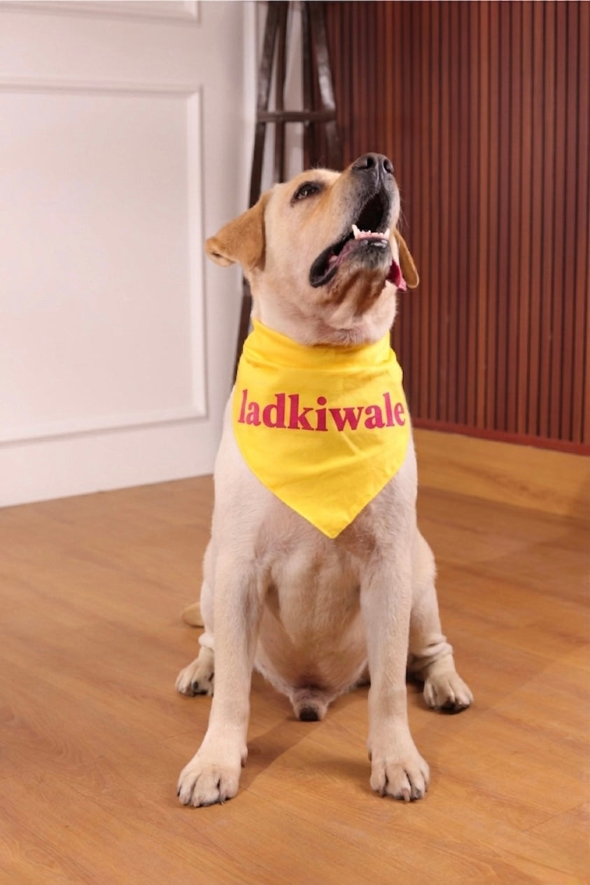 Yellow Ladkiwale/ladkewale bandana