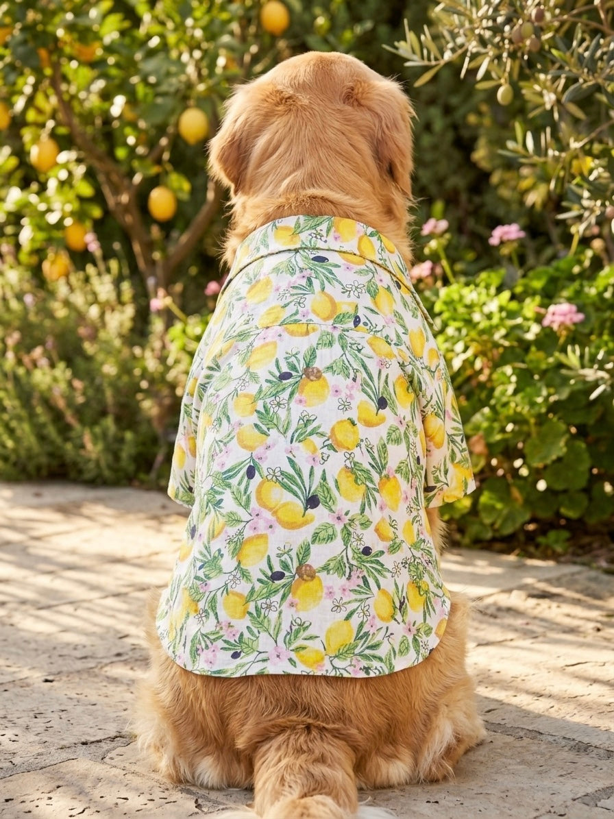 Amalfi Spritz Shirt