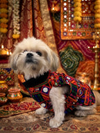 Rang Riwaaz Jacket