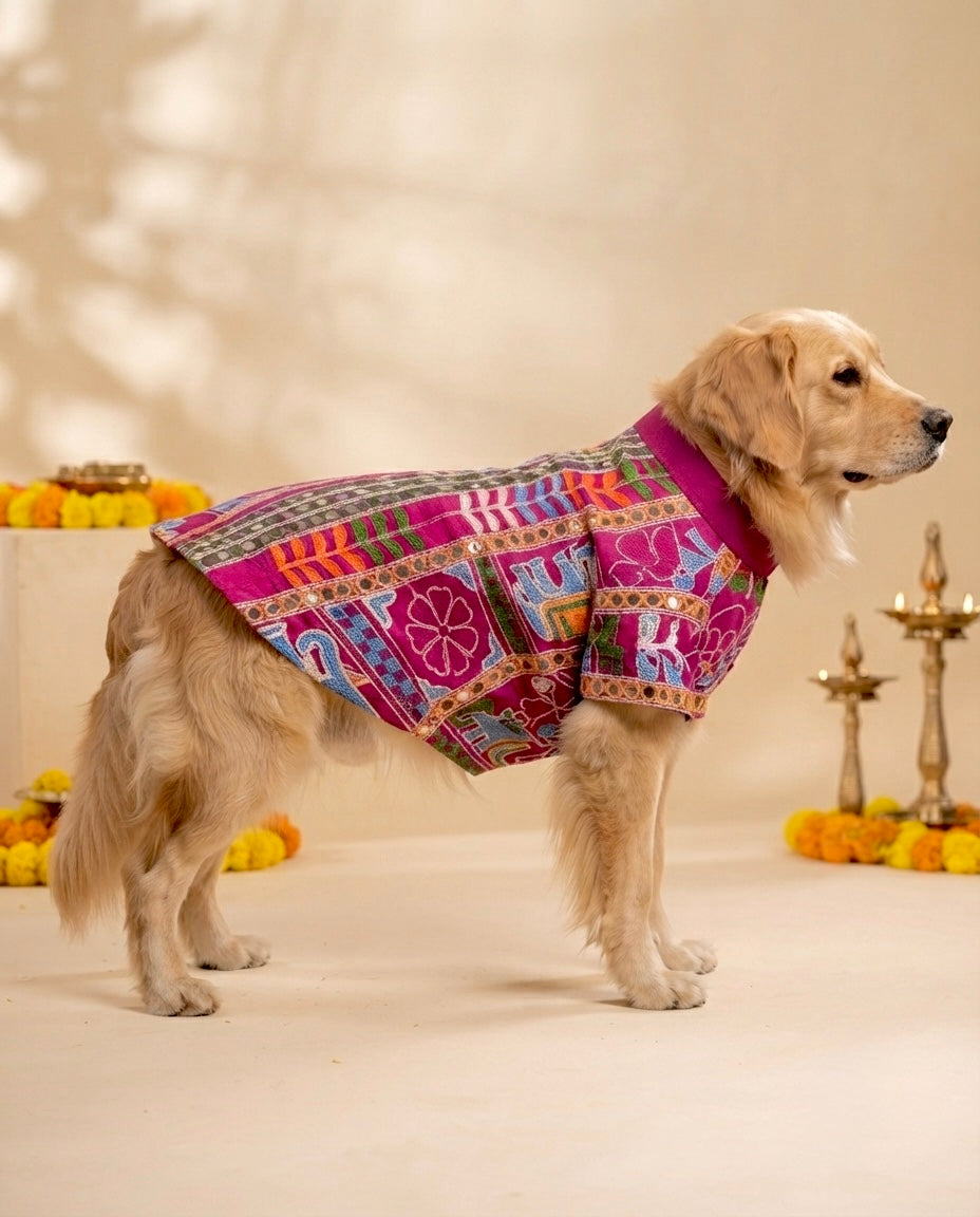 Rang Utsav Kurta