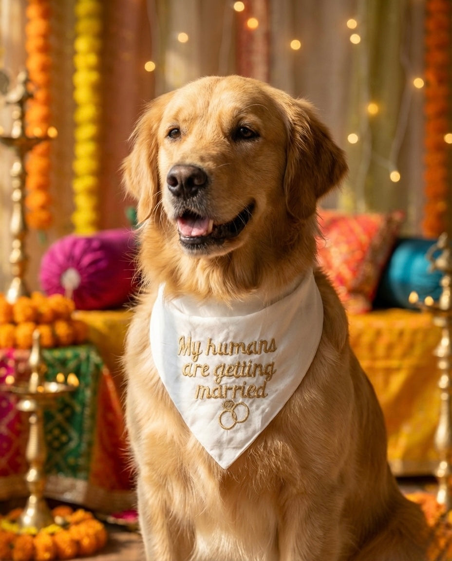 My humans are getting married bandana