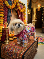 Rang Utsav Kurta