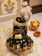 Shahi noir lehenga