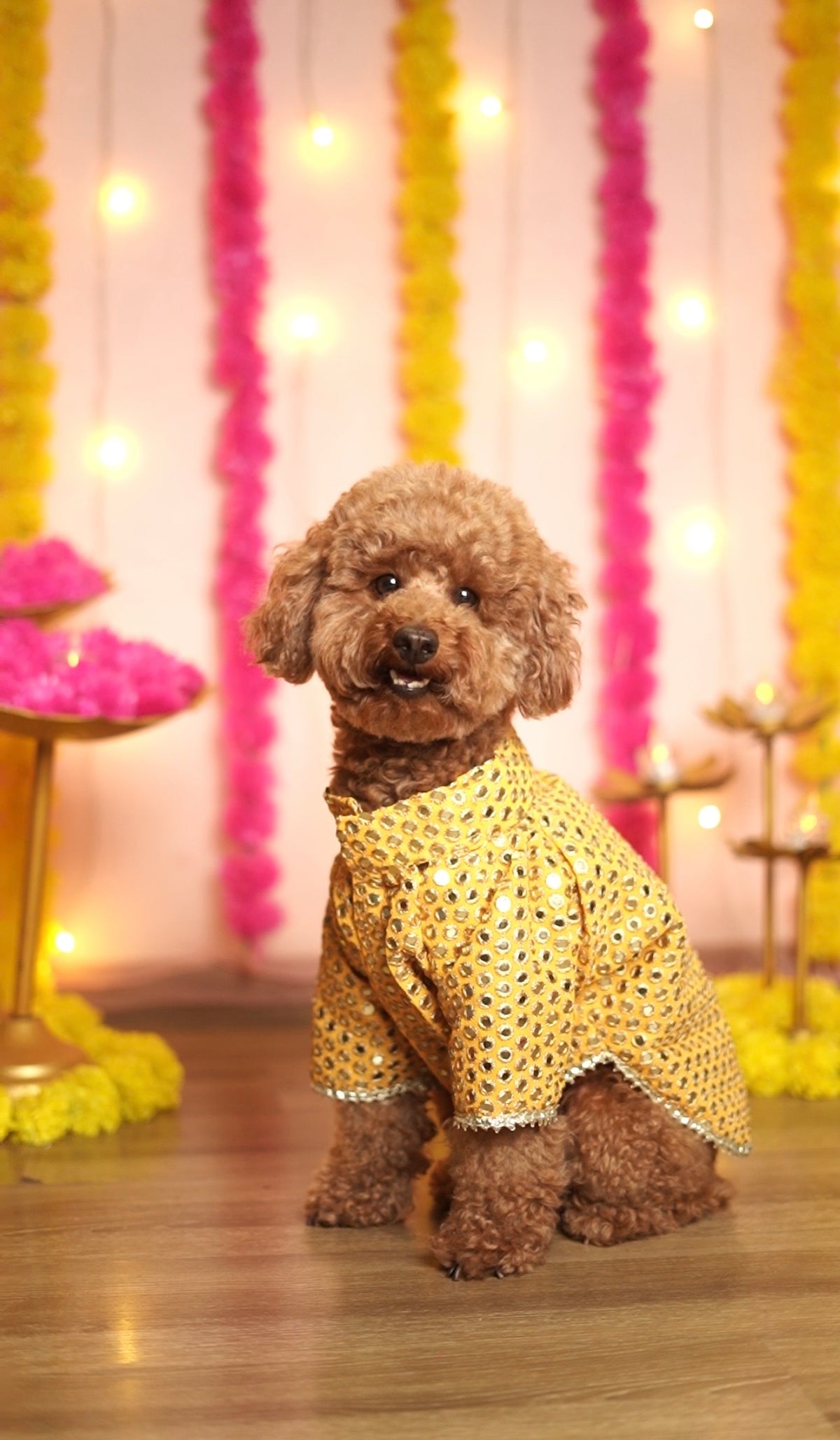 Yellow mirror work sherwani
