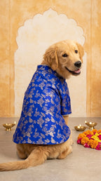 The Royal Sapphire Kurta