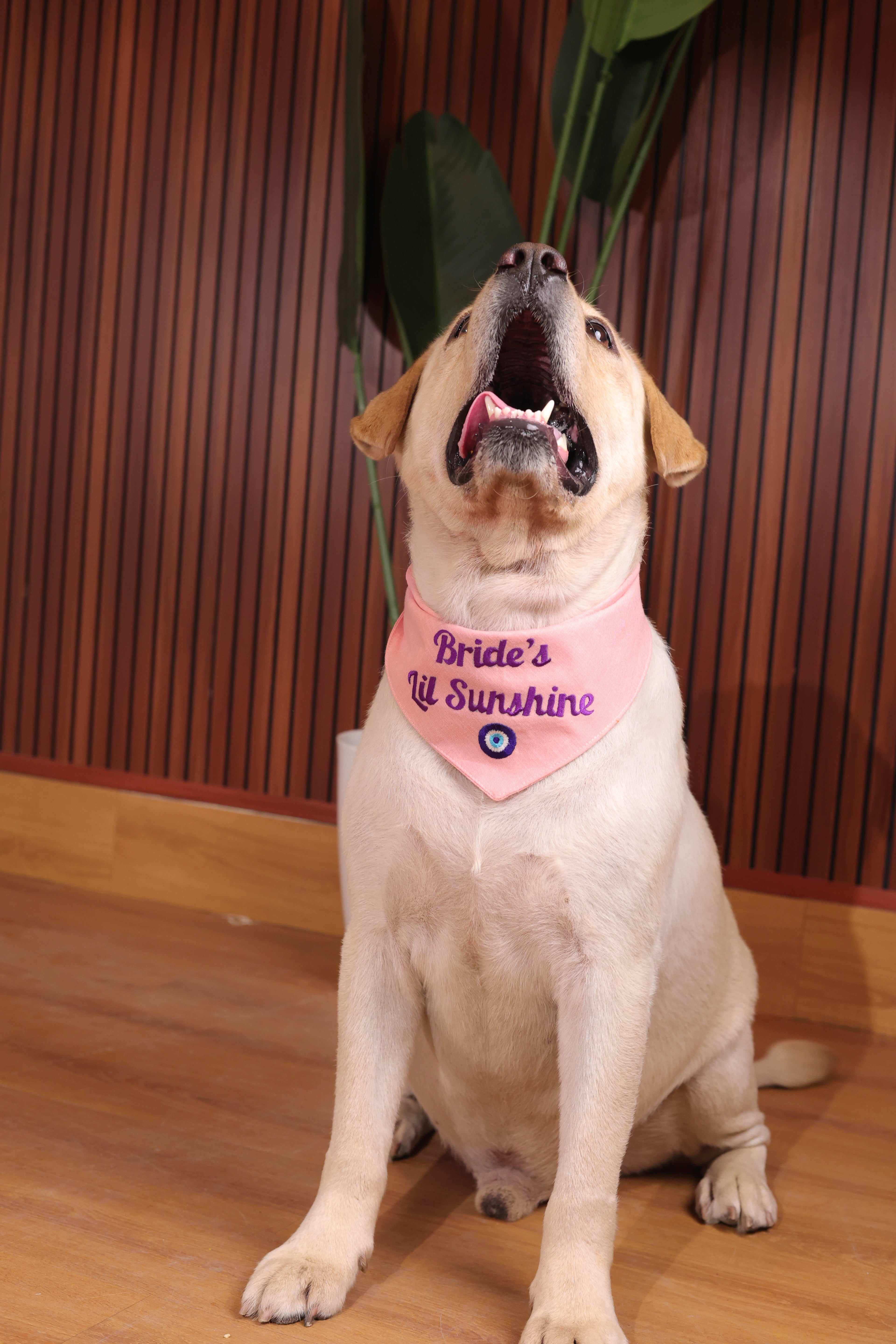 Bride’s lil sunshine bandana