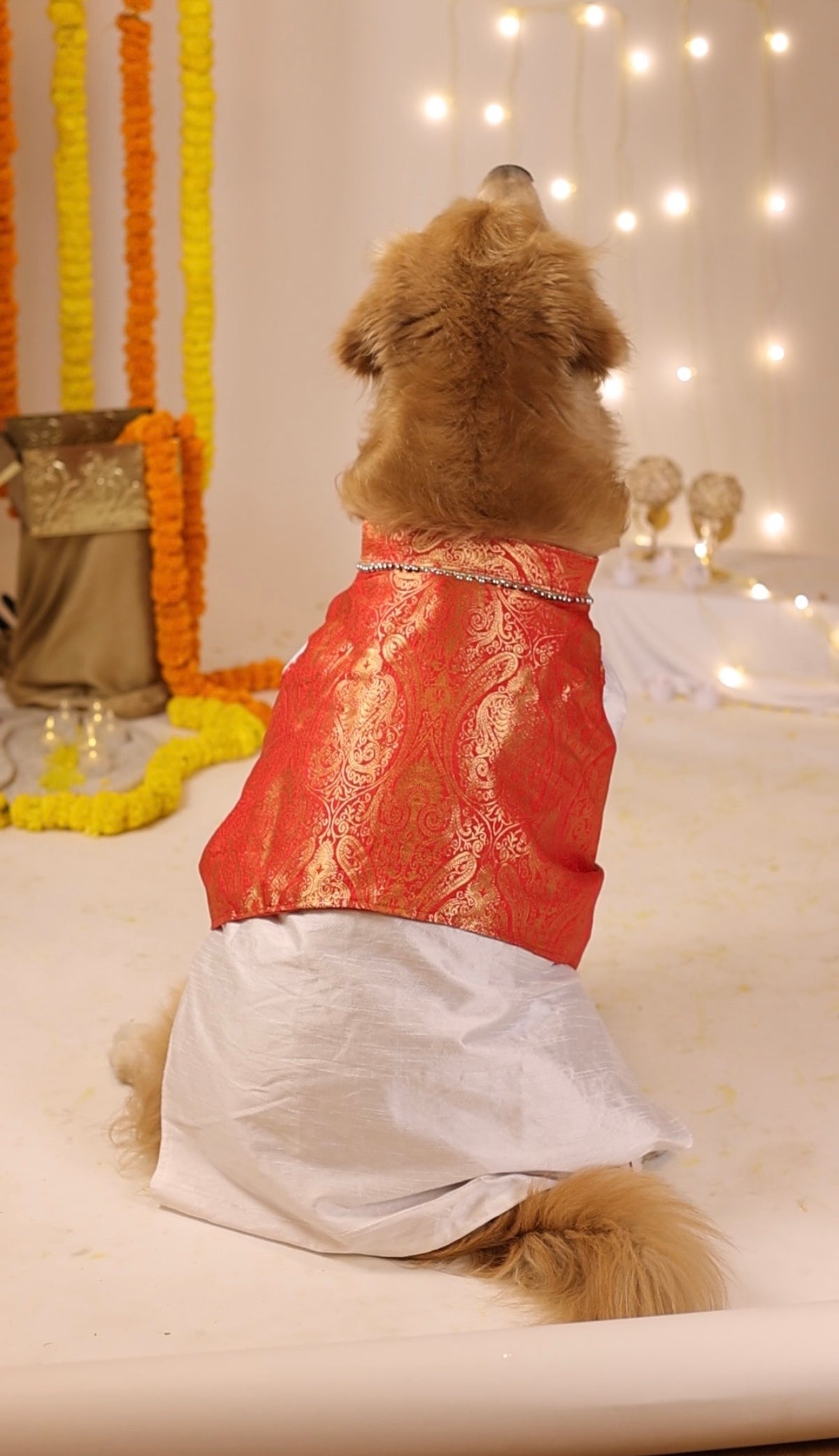 Lal-Shada Pujo Brocade Kurta Set