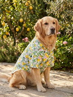 Amalfi Spritz Shirt