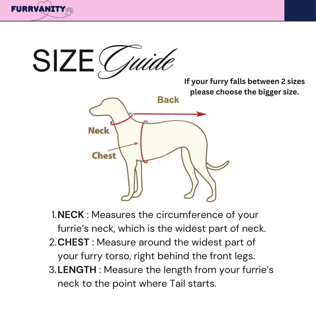 Black Starlit Adventure Hoodie