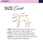 Gujarati Black bandhgala