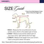 Wine jodhpuri mirror work sherwani