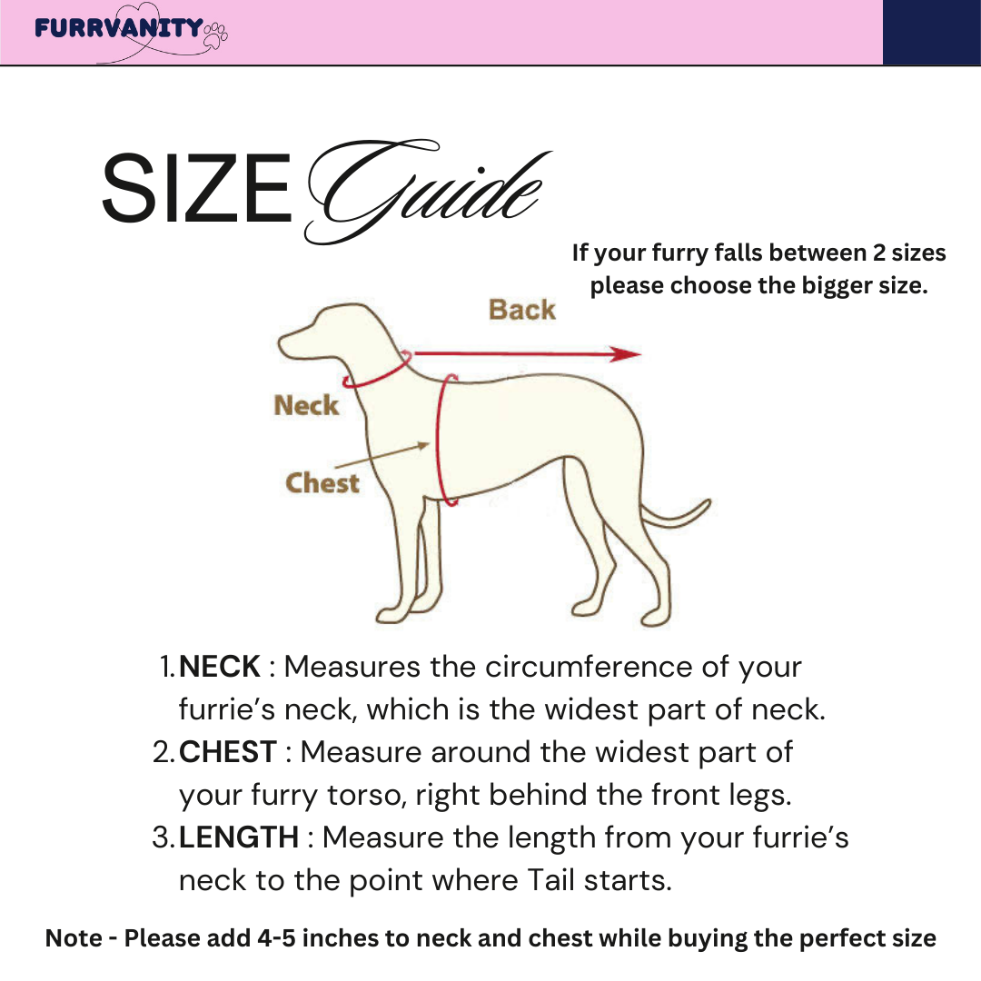 Pink mirror chanderi kurta