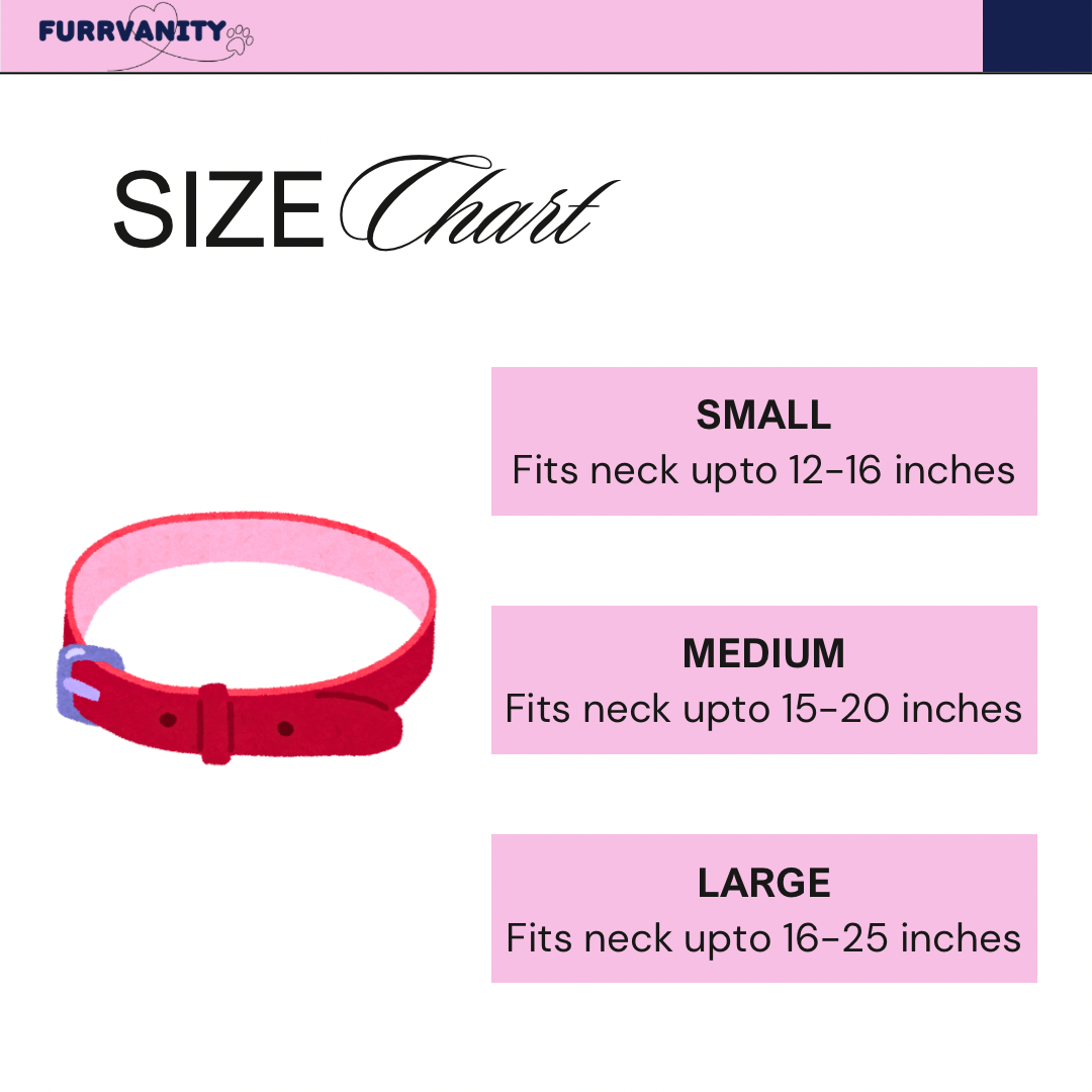 Purple aztec Bow & Collar