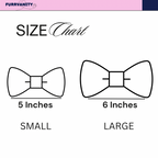 Cyan aztec Bow & Collar