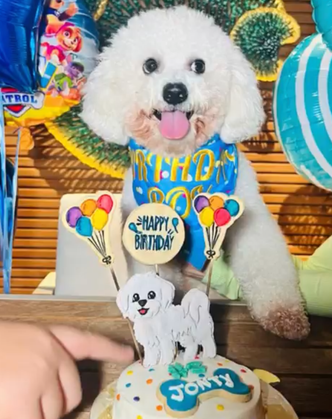 Birthday Boy bandana