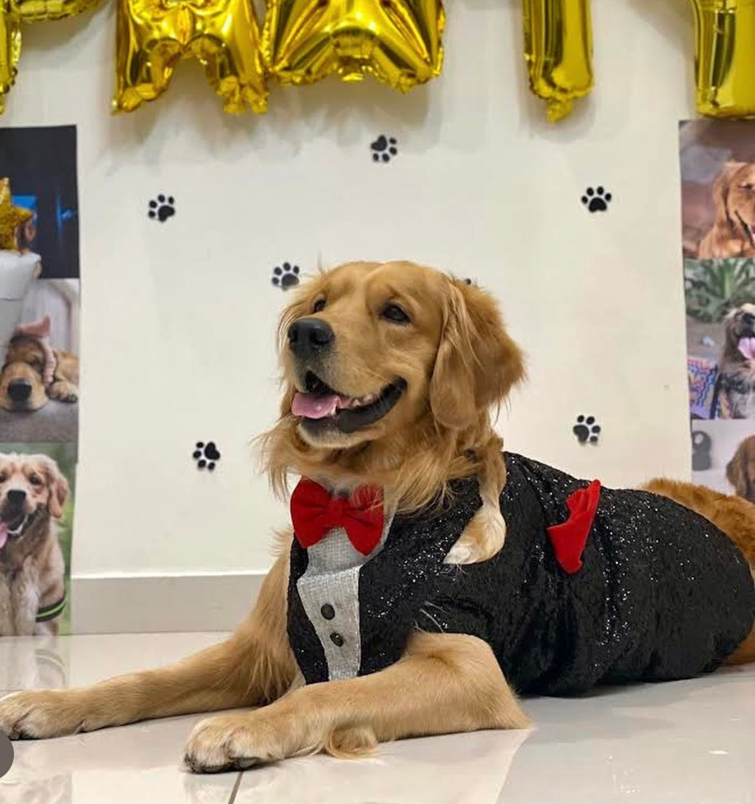 Dog  tuxedo Dress / dog wear  - Furrvanity