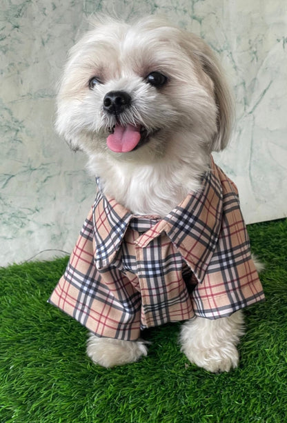 Dog shirt - burberry - furrvanity