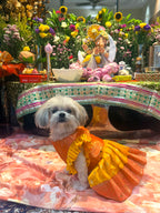 Saffron-Marigold Festive Pattu Lehenga