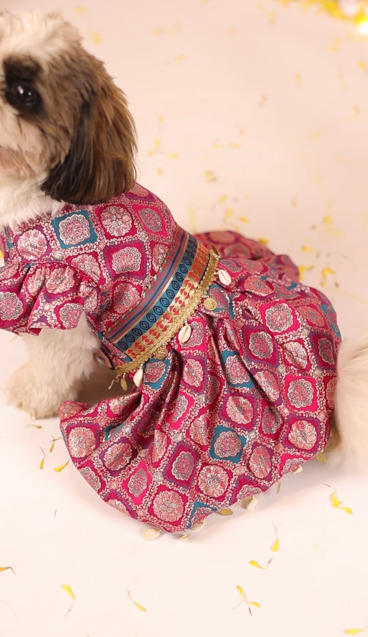 Pink Banarsi Brocade Anarkali