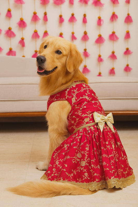 Gulab red anarkali