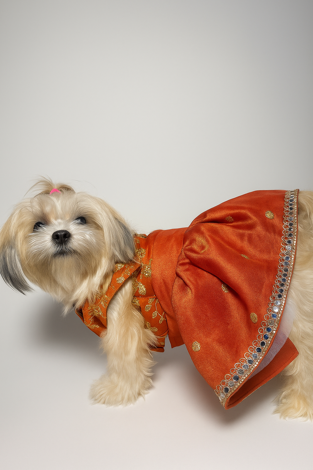 Agnika Lehenga