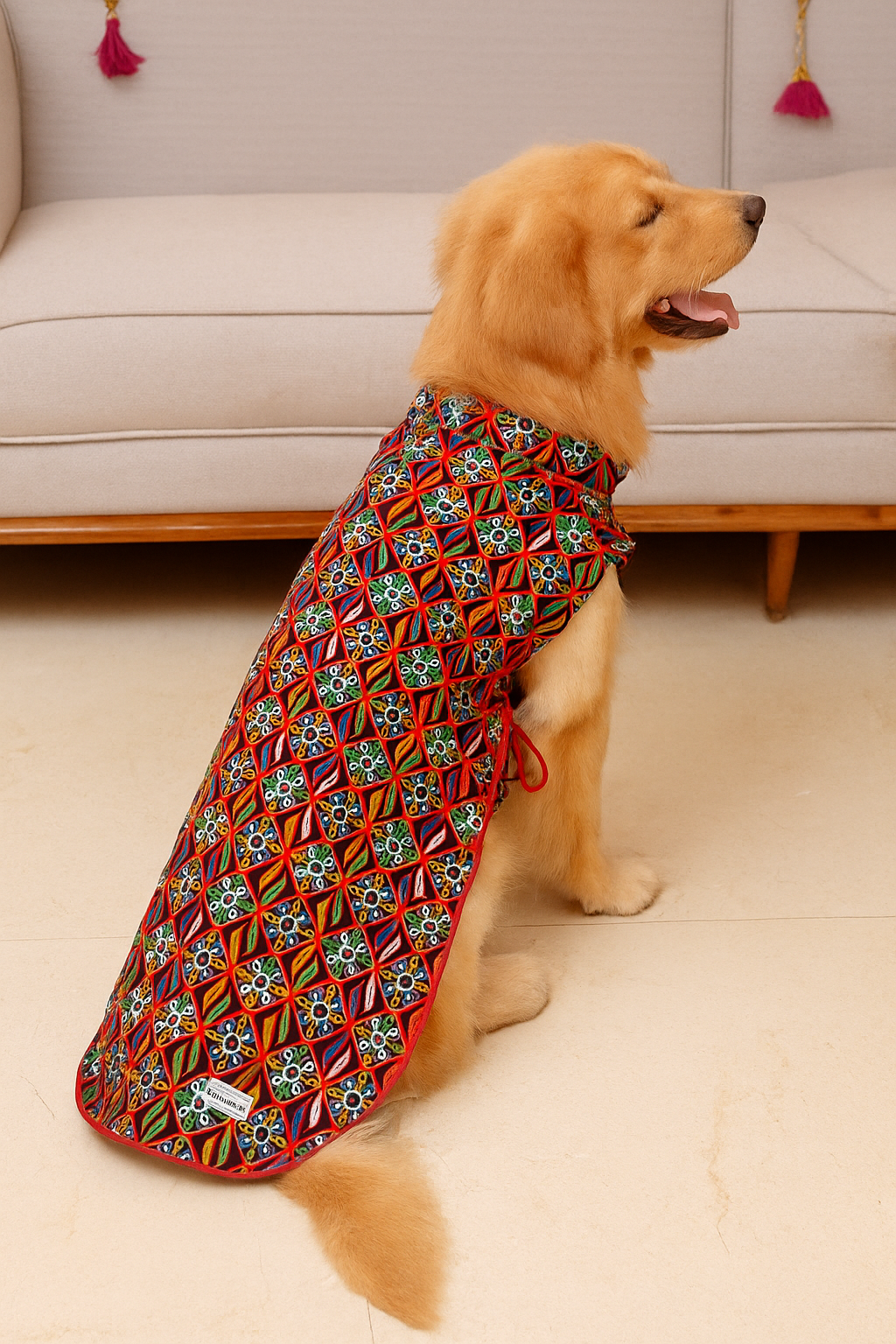 Gujarati Black bandhgala