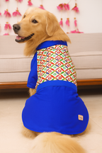 White bandhgala with blue kurta