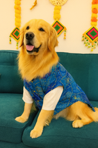 Silk kurta with Blue Bandhani bandhgala