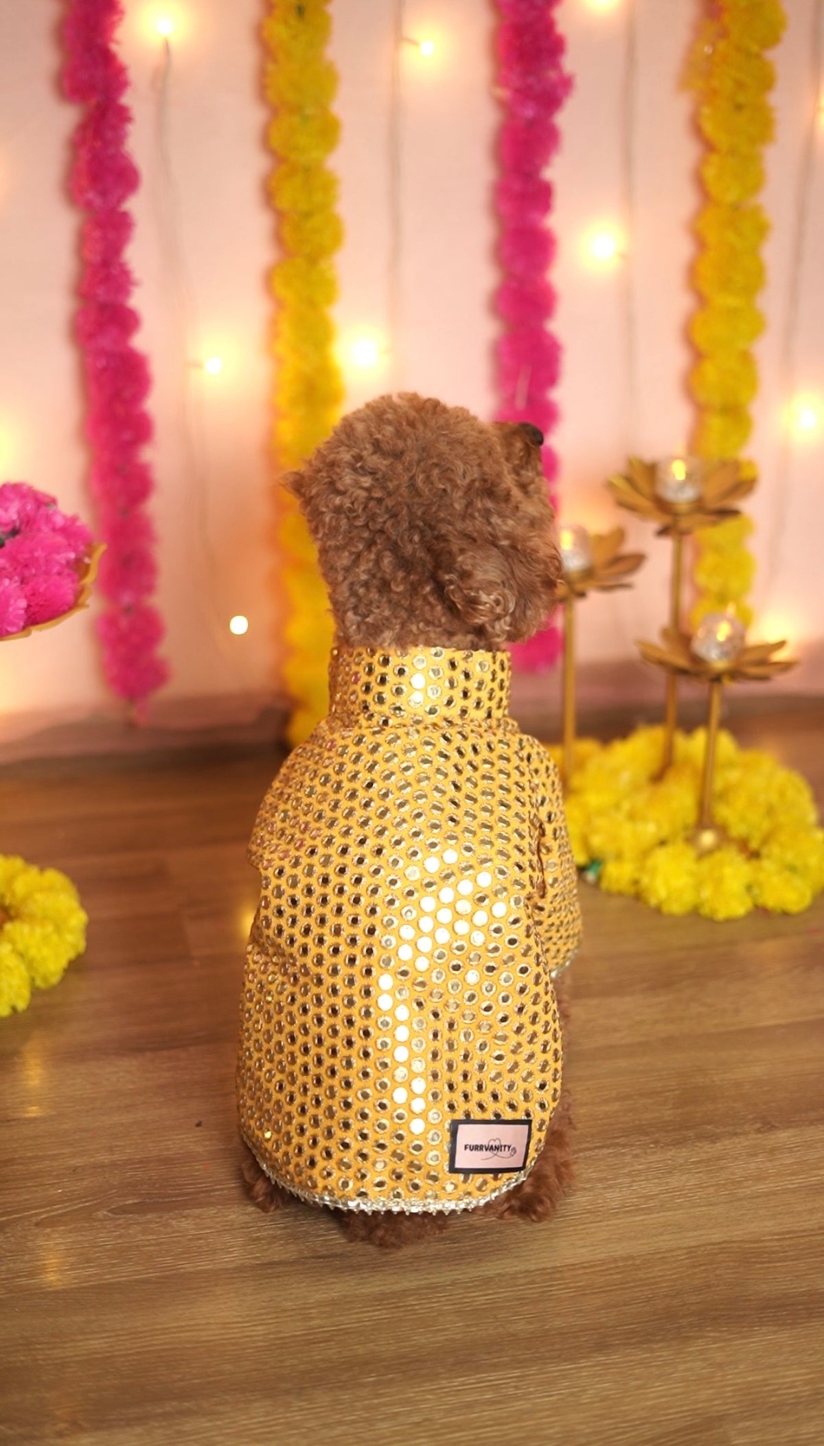 Yellow mirror work sherwani