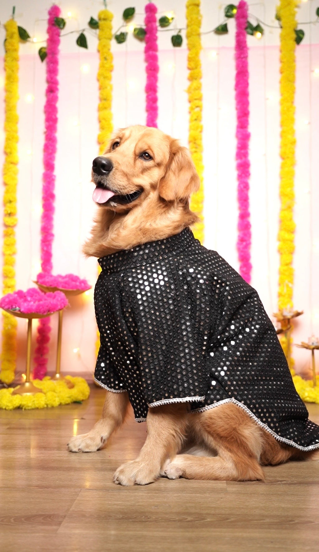 Black mirror work sherwani