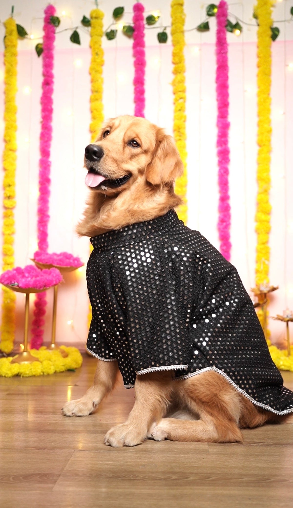 Black mirror work sherwani