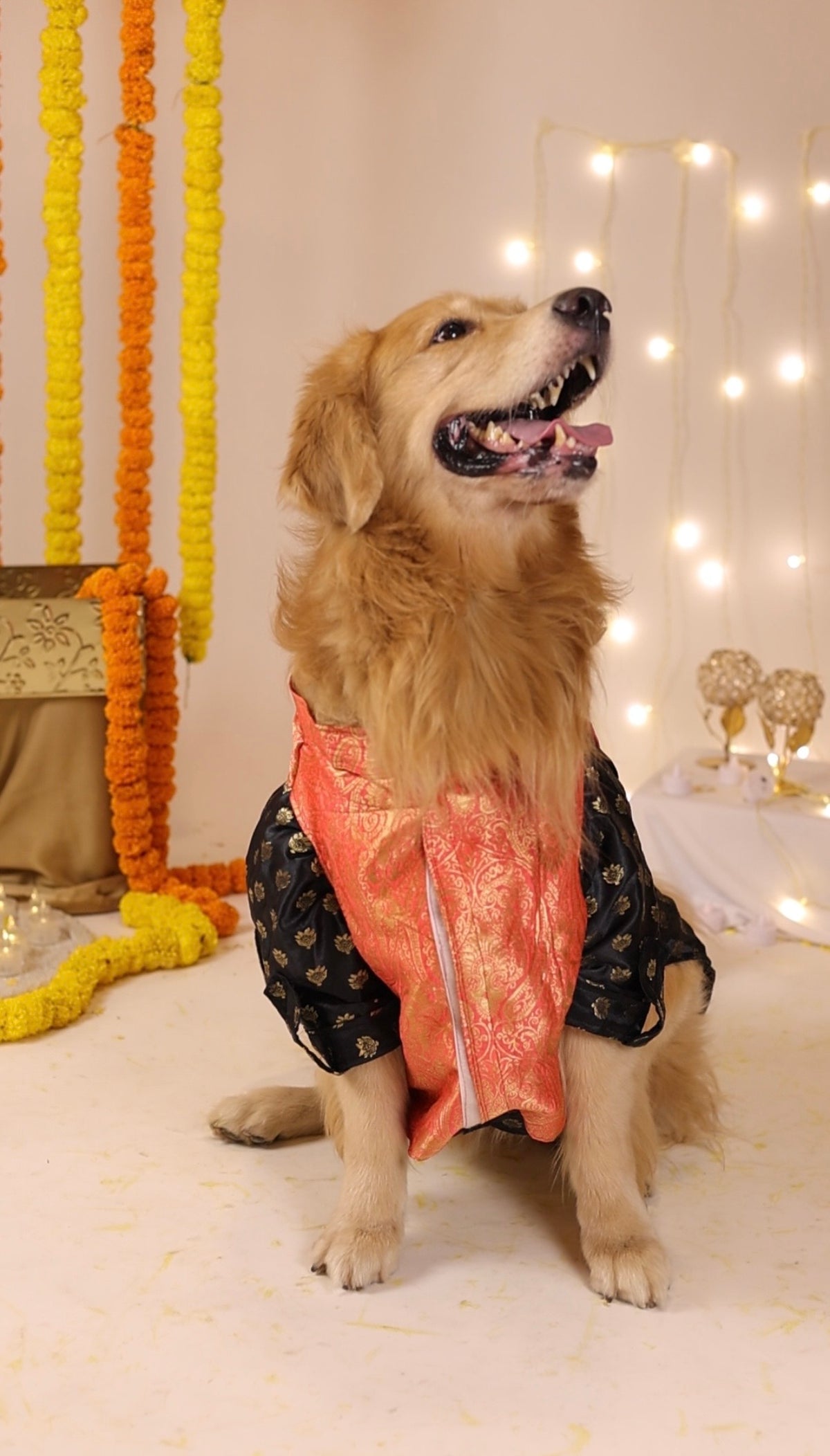 Amber Zari Brocade Jacker & Kurta Set