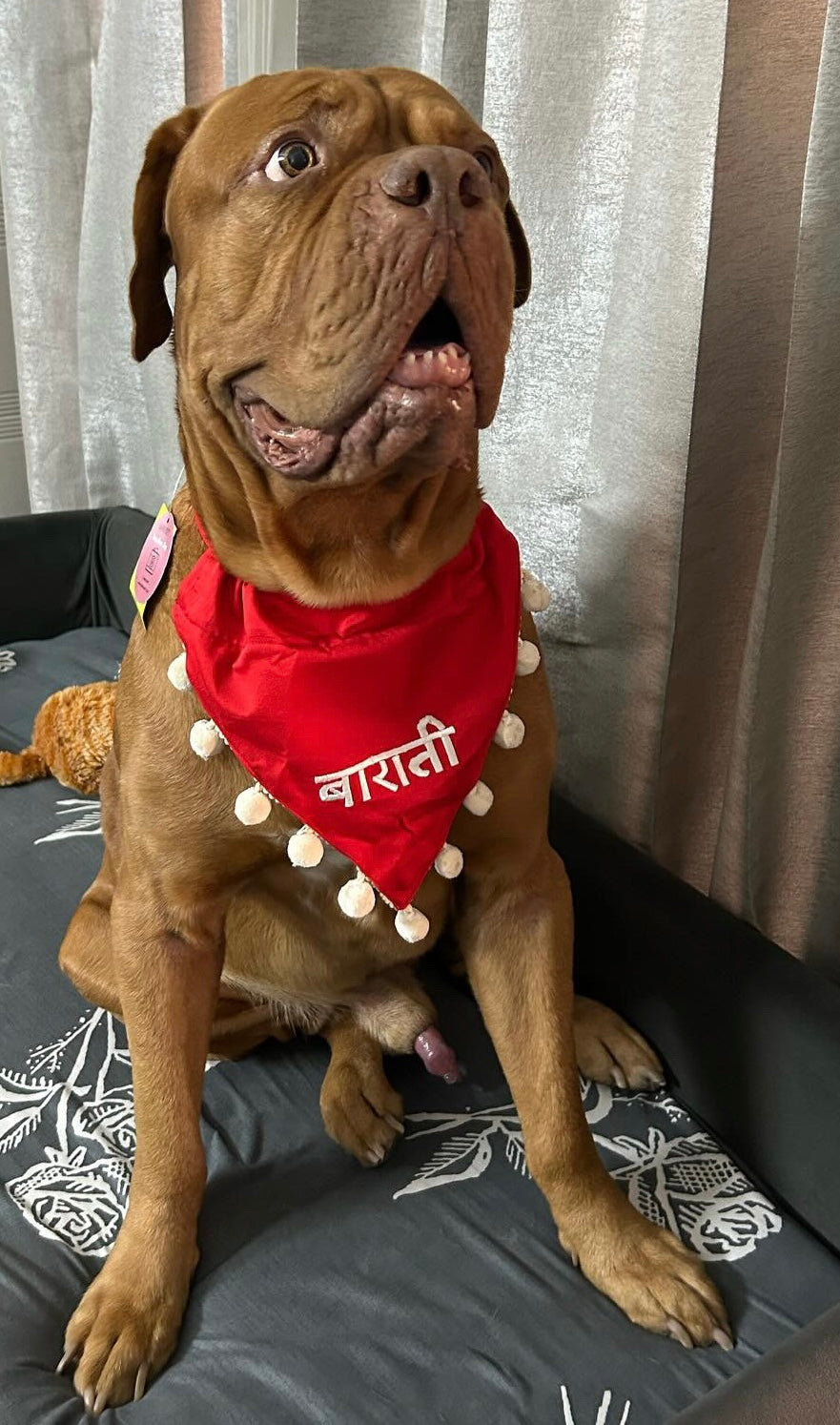 Baraati Bandana