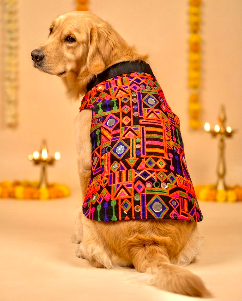 Rang Riwaaz Jacket