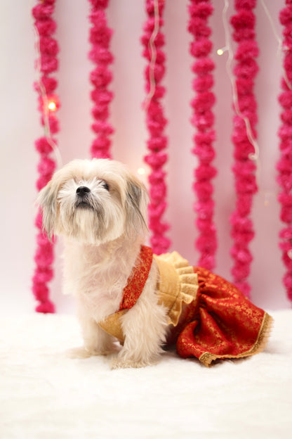 Red cream brocade lehenga choli