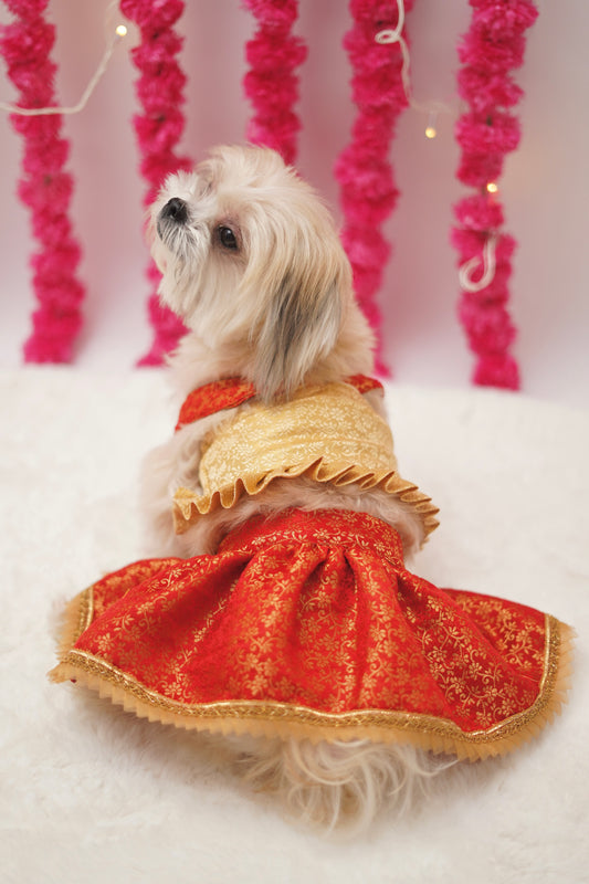 Red cream brocade lehenga choli