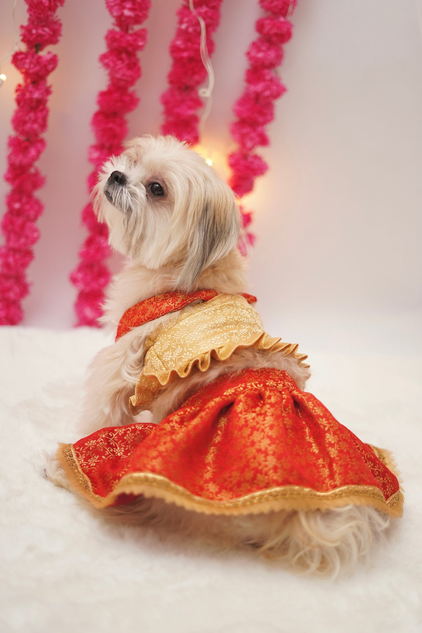 Red cream brocade lehenga choli