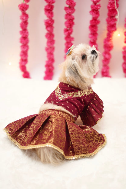 Wine brocade lehenga choli