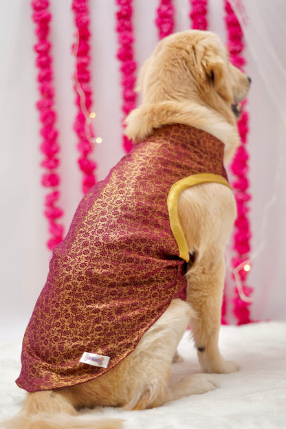 Wine brocade bandhgala