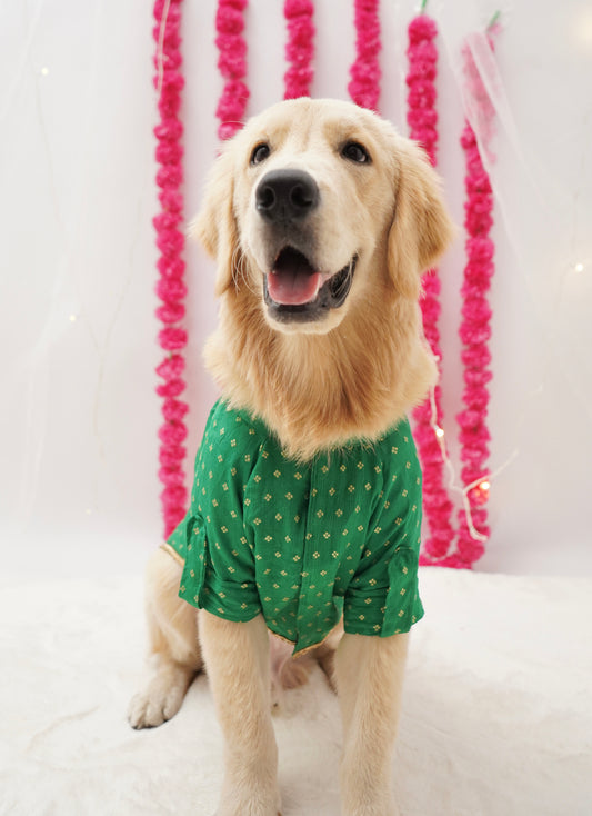 Emerald green kurta