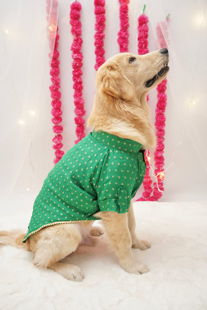 Emerald green kurta