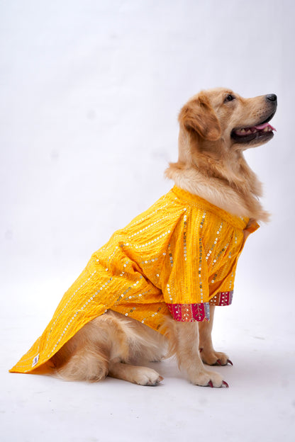 Yellow sitara kurta