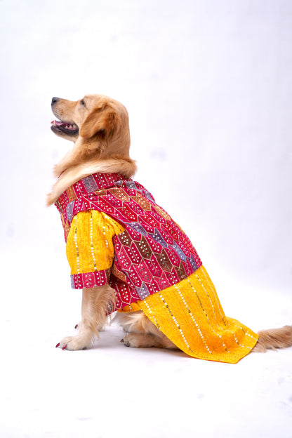 2 in 1 Yellow kurta with pink bandhgala