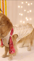 The Shahzada Bandhgala with Dupatta