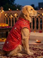 Ruby Bandhani Kurta
