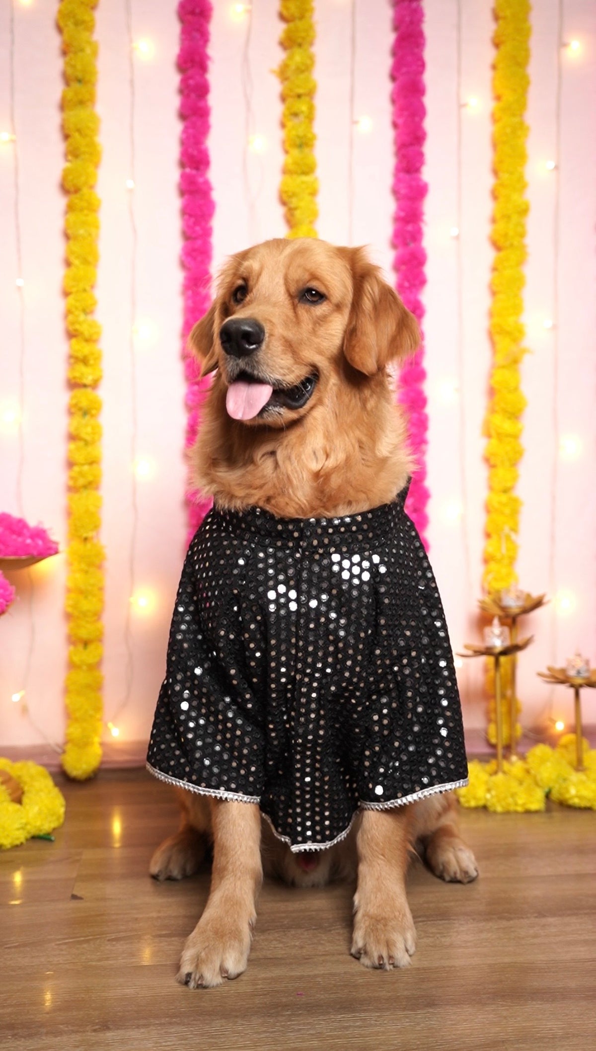 Black mirror work sherwani