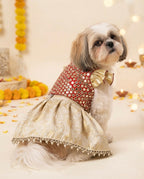 Sitara Moti Lehenga
