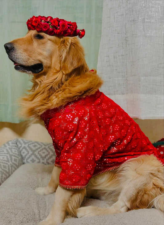 Red mirror work chikankari sherwani